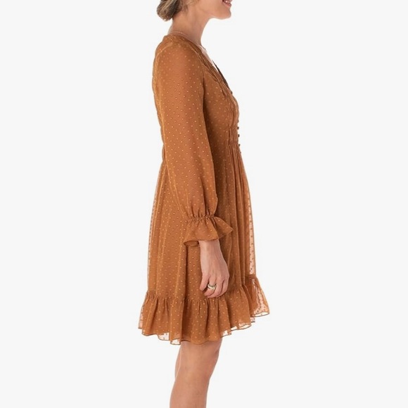 Taylor Rust chiffon dress women’s size 10-smocked Swiss dot-NWT - Picture 2 of 3